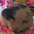 Pamela M Frazier's profile image