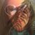 Cindy Morrison Mabe's profile image