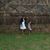 Archana Prasad's profile image