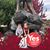 Liz Minton Lee's profile image