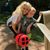 Debra Anne's profile image