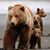 Gina Tyler Wilson's profile image