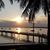 Yvonne Hershaw's profile image