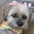 Joy Ritter's profile image