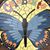 Ann Specht's profile image