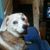 Jim Brady's profile image