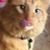 Dottie Reedy's profile image