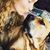 Lorie Morrison's profile image