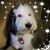 JoAnn Harley's profile image