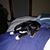 Anne Vigneault's profile image