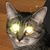 Patrick Lasater's profile image