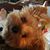 Brenda J. Clifford's profile image