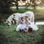 Susie Mertes Brandner's profile image