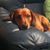 Dolores Wright's profile image