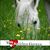 Beth Minnich's profile image