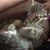 Jerry Baty's profile image