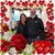 Kelly Mercurio's profile image