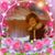 Μαρίνα Προμπονά's profile image