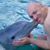 Alan Berg's profile image