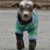 Donna Beach's profile image