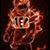 Steven Sweeney's profile image