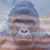 Jeff Ashe's profile image
