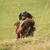 Gail Williams's profile image