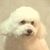 Claudia BC's profile image