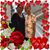 Frances Madera's profile image