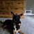 Tobie Moore's profile image
