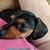 Tammey Bagwell Trawick's profile image