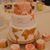 Luce Rajao's profile image