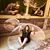 Anabell Mercado's profile image