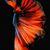 Kathryn Walsh's profile image