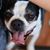 Michelle Miller's profile image