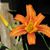 Deborah Cahoon's profile image