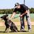 Wes Keeling's profile image