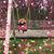 Nicole Haggin's profile image