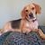 Terrie Eaton Semones's profile image