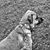 Christine DuHadaway's profile image