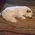 Molly Rountree's profile image