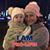 Lisa Nelson's profile image