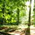 Connie Keating Leannais's profile image