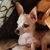 Elizabeth Huckeba James Walker's profile image