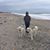 Stacy Ramsdell's profile image
