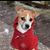 Jennifer Rogers Pack's profile image