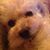 Lou Spence's profile image