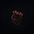 Wolf Rayet's profile image