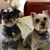 Carol Autry's profile image