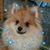 Liz White's profile image